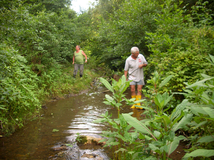 Bekämpfungsmaßnahme vom Wasser aus