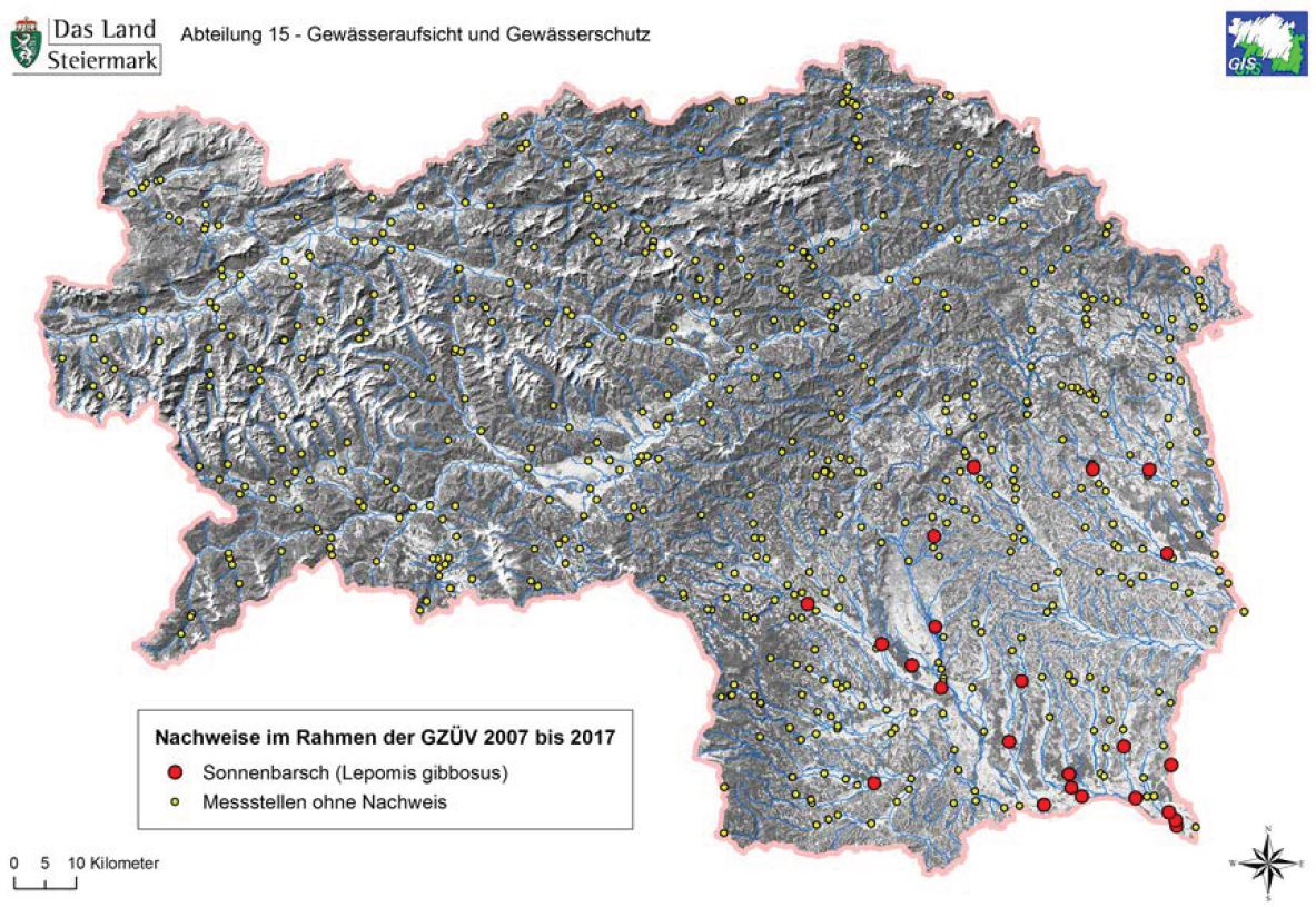 Verbreitungskarte des Sonnenbarsches in der Steiermark