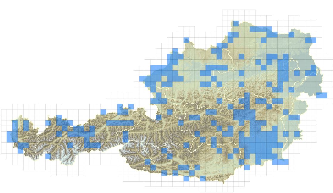 Verbreitungskarte des Riesenbärenklaus in Österreich