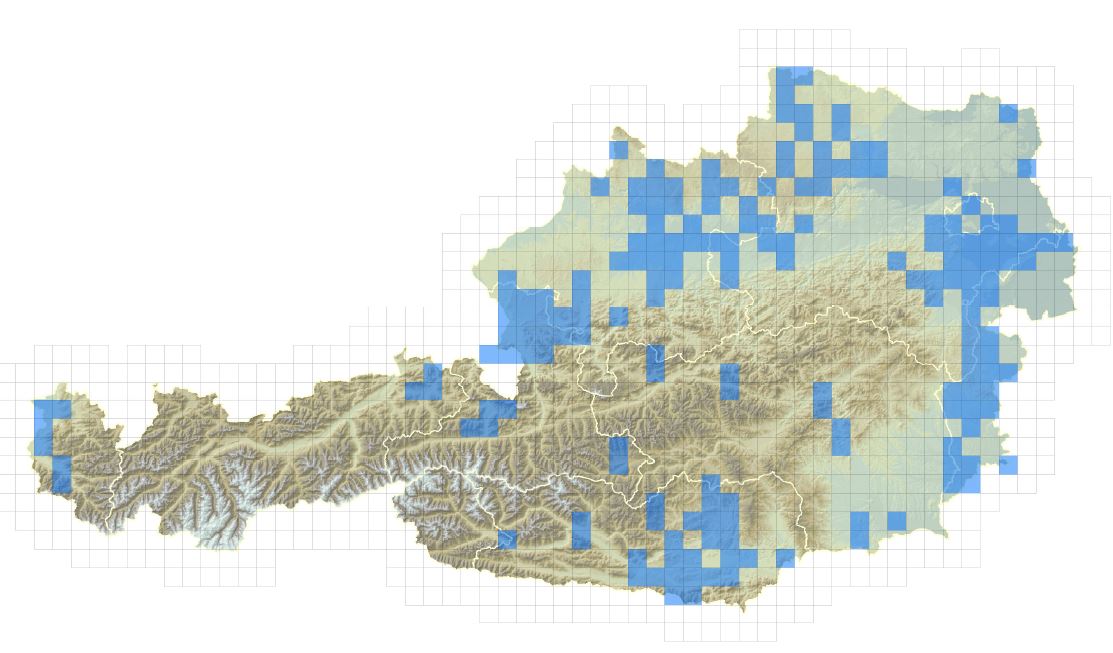 Verbreitungskarte des Amerikanischen Signalkrebses in Österreich