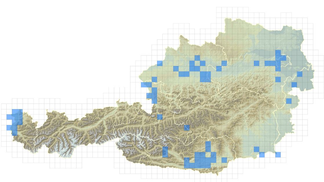 Verbreitungskarte der Nordamerikanischen Schmuckschildkröte in Österreich