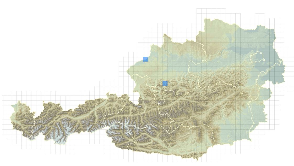 Verbreitungskarte der Schwarzkopf-Ruderente in Österreich