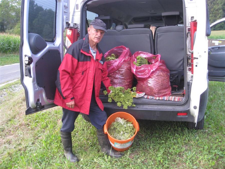 Abtransport der geernteten Pflanzenteile in einem geschlossenen System