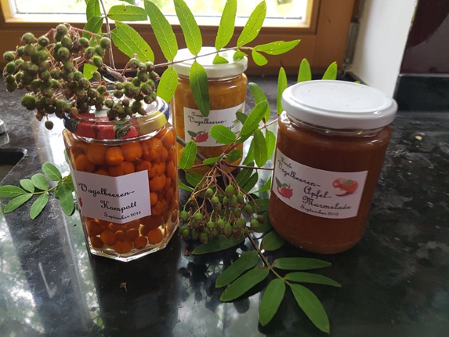 Ebereschen Marmelade, Kompott und Chutny